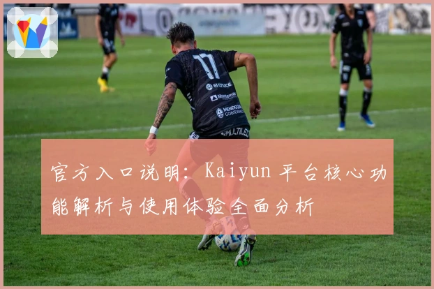 官方入口说明：Kaiyun 平台核心功能解析与使用体验全面分析