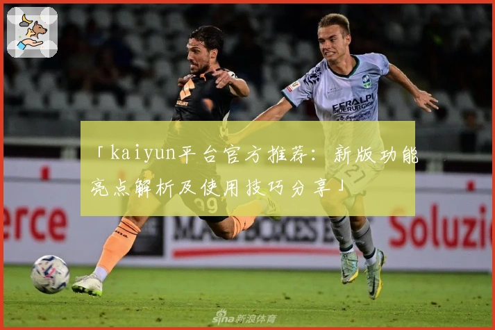 「kaiyun平台官方推荐：新版功能亮点解析及使用技巧分享」
